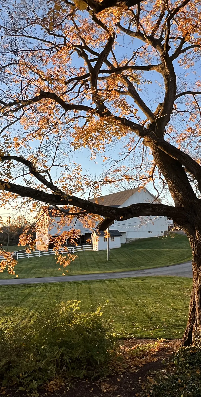 rural landscaping