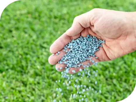 LandServ Lawn Treatment