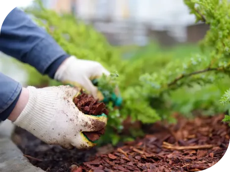LandServ Mulching